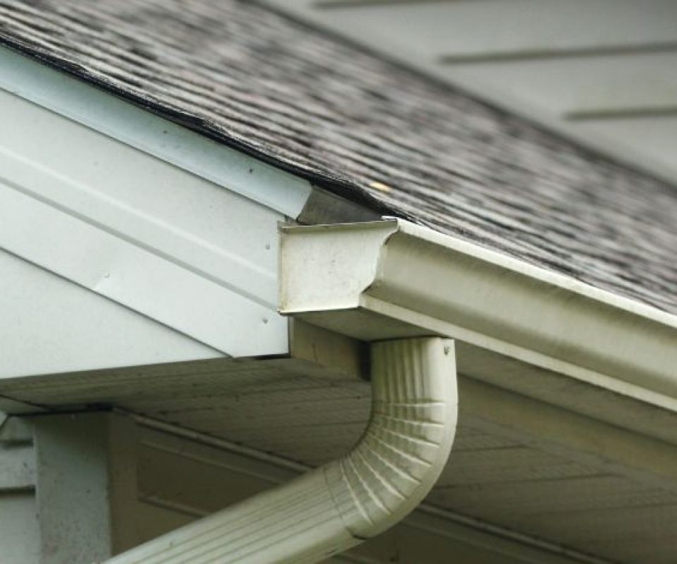 Untitled design (75)