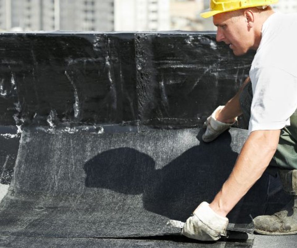 Untitled design (77)