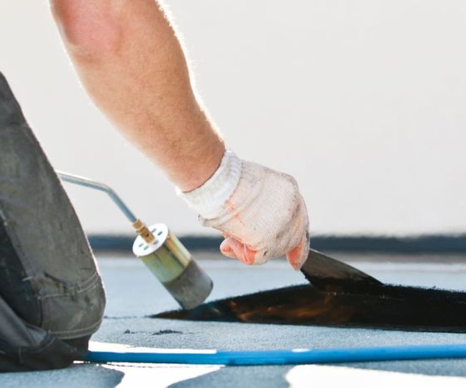 Untitled design (78)