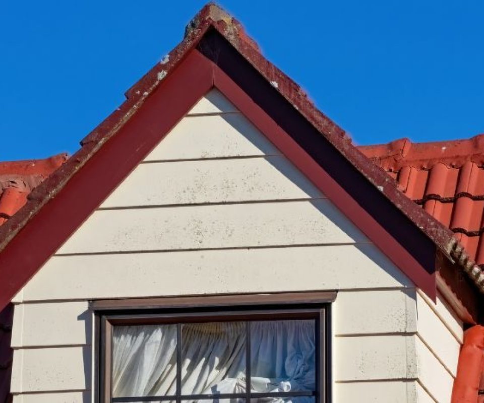 Untitled design (81)